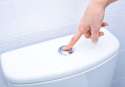 flushing_toilet-e1429549756831.jpg