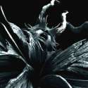 DSt2Pic2-300x300.jpg
