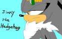 jimmy_the_hedgehog_by_drakughost-d3iils1.jpg