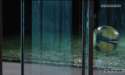 1445028702111.gif