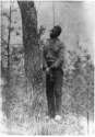 Niggers03.jpg