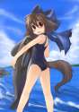 Cocoa050.jpg