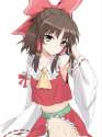 reimu_hakurei___touhou_by_shikihayate-d6of6jf.png