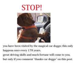 1460083876493.png