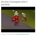 FB_IMG_1459543567564.jpg
