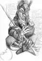 DF_FreyaGuardianLexistenceDesDragoons.jpg