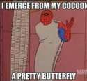 butterfly.jpg