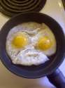 10-angry-eggs-sEXGeuB.jpg