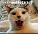 jared.jpg