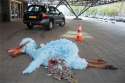 Yellow bird took acid turned blue and got run over.jpg