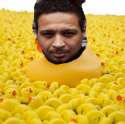sea-of-ducks-300.jpg