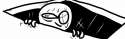 nool.jpg
