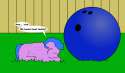 fluffy bowling ball.jpg