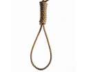 noose30n-1-web.jpg