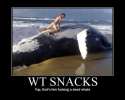 snacks.jpg
