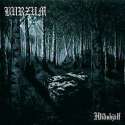 220px-Burzum-Hlidskjalf.jpg
