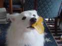 Bird Lips.jpg