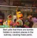 1431189745136.jpg