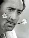 Anthony Lamb - Nick Cage as Salvador Dali.jpg