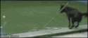 1431892485721.gif
