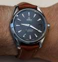 Omega-Seamaster-Aqua-Terra-Co-Axial-watch-8.jpg