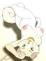 1320253940.roary_provocant_chaton.jpg
