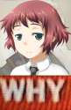 NO.jpg