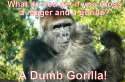nigger-jokes.jpg