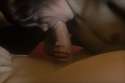 124704.gif