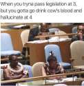 memes5.png