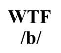 wtf b.png