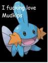 mudkips.png