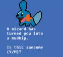 200px-Mudkip_RPG.png