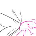 pinis.png