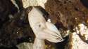 20150502_131334.jpg