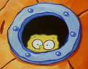 sponge9.png