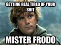 frodo.jpg