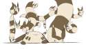 you came to the wrong neighborhood motherfurret.jpg