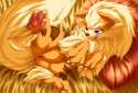 arcanine 01.jpg