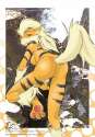 Arcanine49.jpg