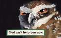 owlgod.jpg