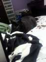 received_10200422536043007.jpg