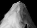 I have gone beyond the realms of poof.jpg