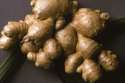 ginger.jpg
