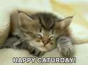 happy-caturday.png