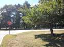 20130908_141325.jpg