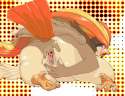Pidgeot11.jpg