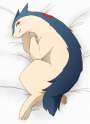 Typhlosion11.jpg