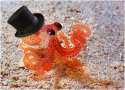 tophat.jpg