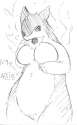 Typhlosion13.jpg